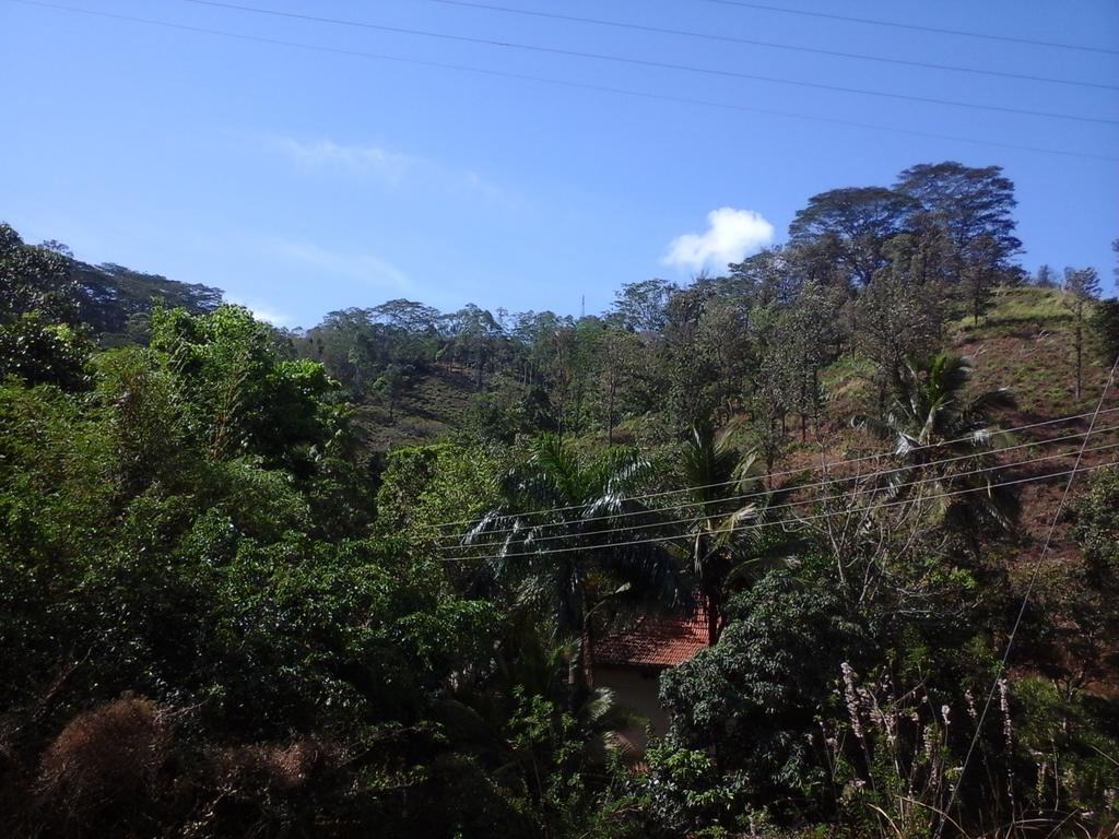 Nature'S Nest Kandy Ngoại thất bức ảnh